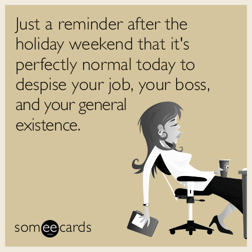 reminder-despise-holiday-weekend-funny-ecard-BAY
